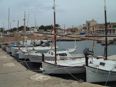 DSCF0041.JPG